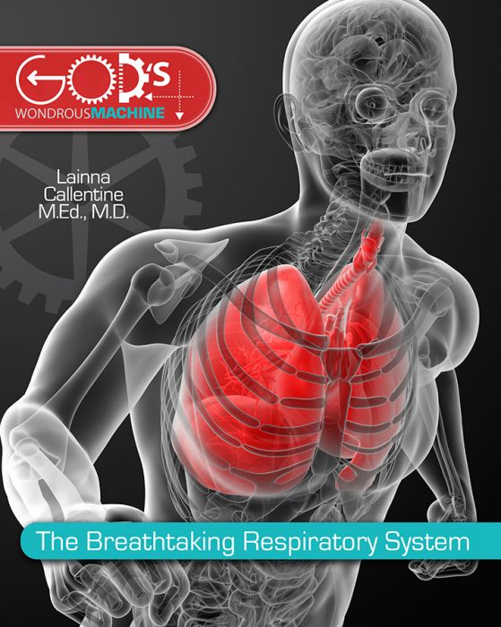 The Breathtaking Respiratory System